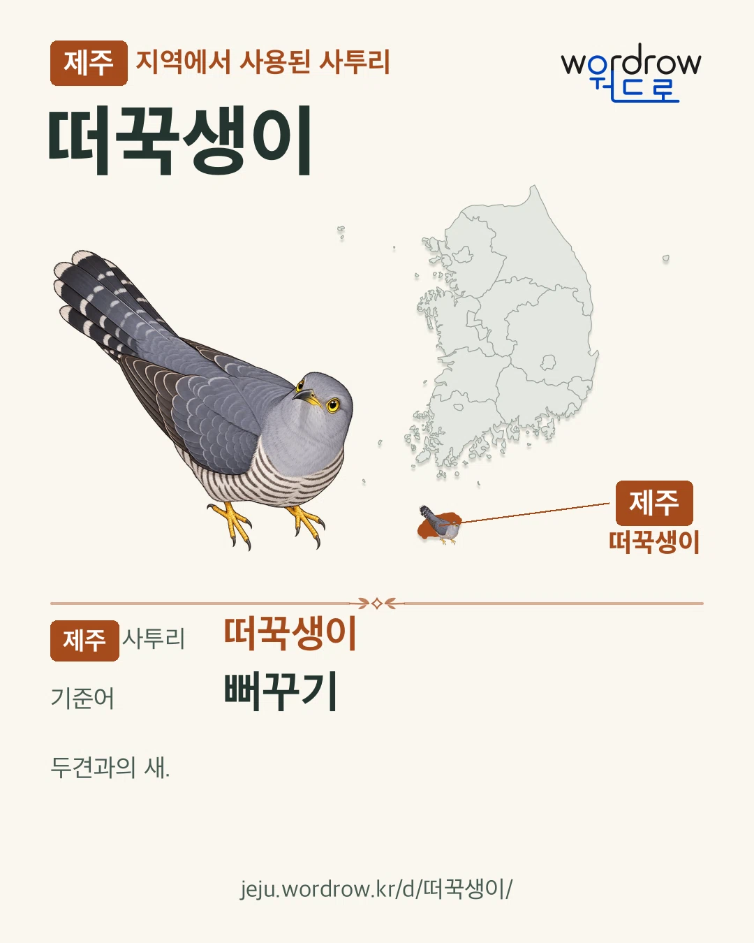 제주 지역에서 사용된 사투리 ‘떠꾹생이’. 기준어: 뻐꾸기. 기록 지역을 표시한 카툰 삽화와 지도 카드.