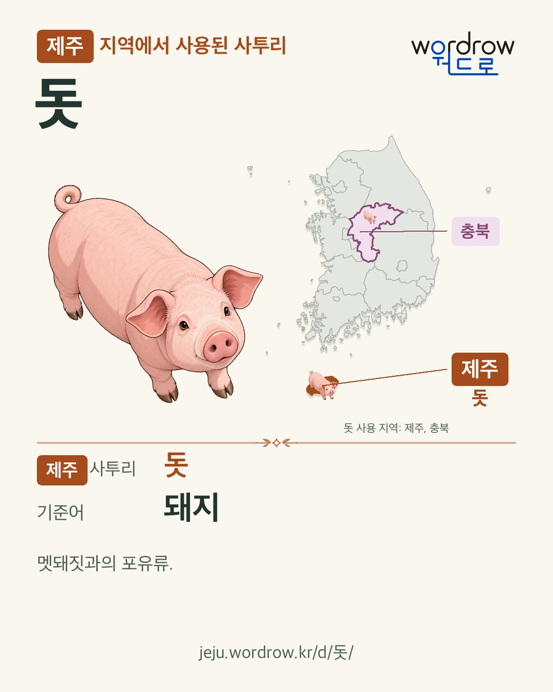 제주 지역에서 사용된 사투리 ‘돗’. 기준어: 돼지. 기록 지역을 표시한 카툰 삽화와 지도 카드.