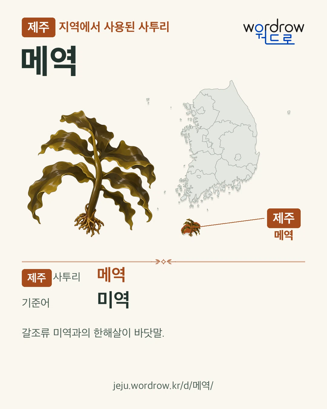 제주 지역에서 사용된 사투리 ‘메역’. 기준어: 미역. 기록 지역을 표시한 카툰 삽화와 지도 카드.