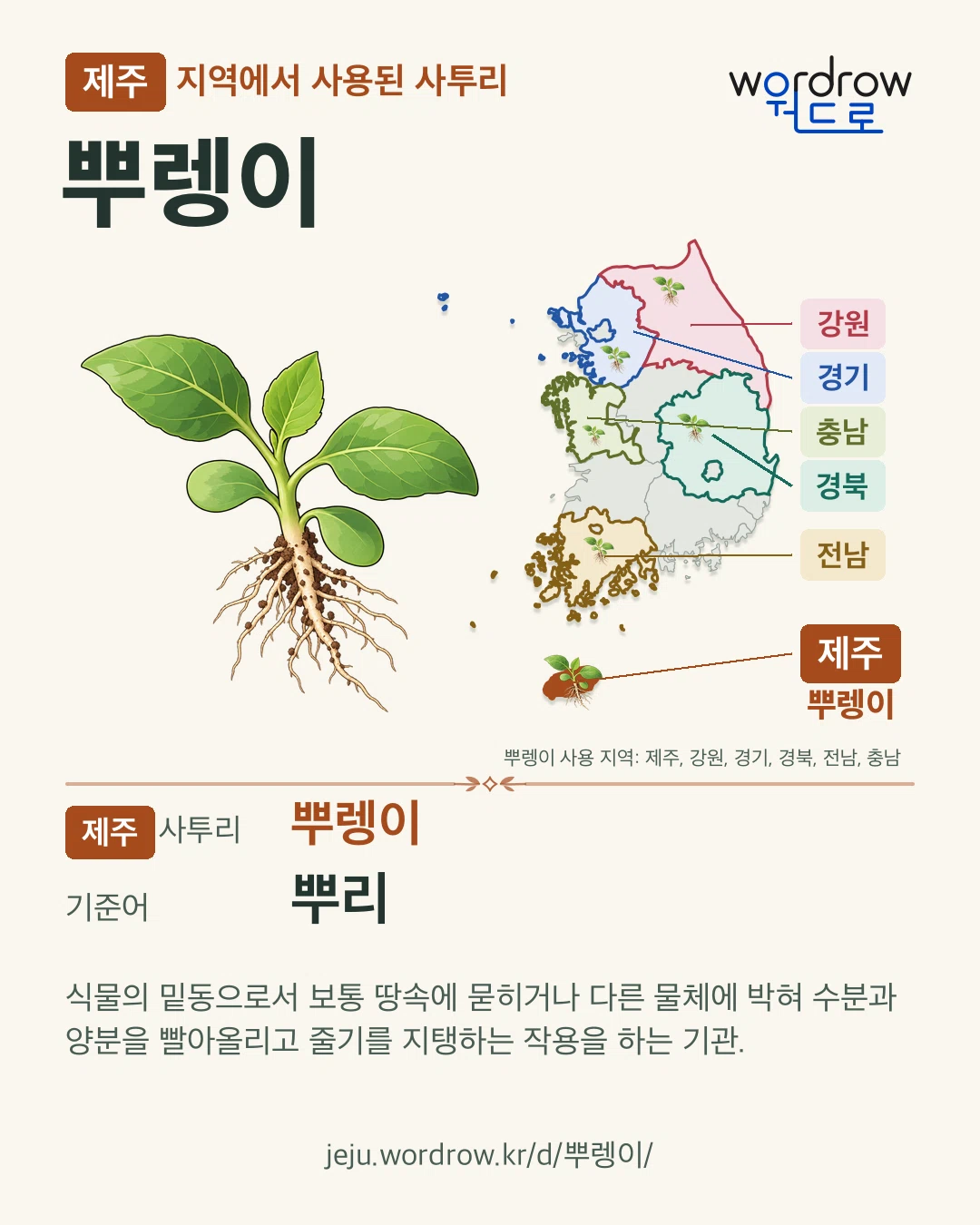 제주 지역에서 사용된 사투리 ‘뿌렝이’. 기준어: 뿌리. 기록 지역을 표시한 카툰 삽화와 지도 카드.