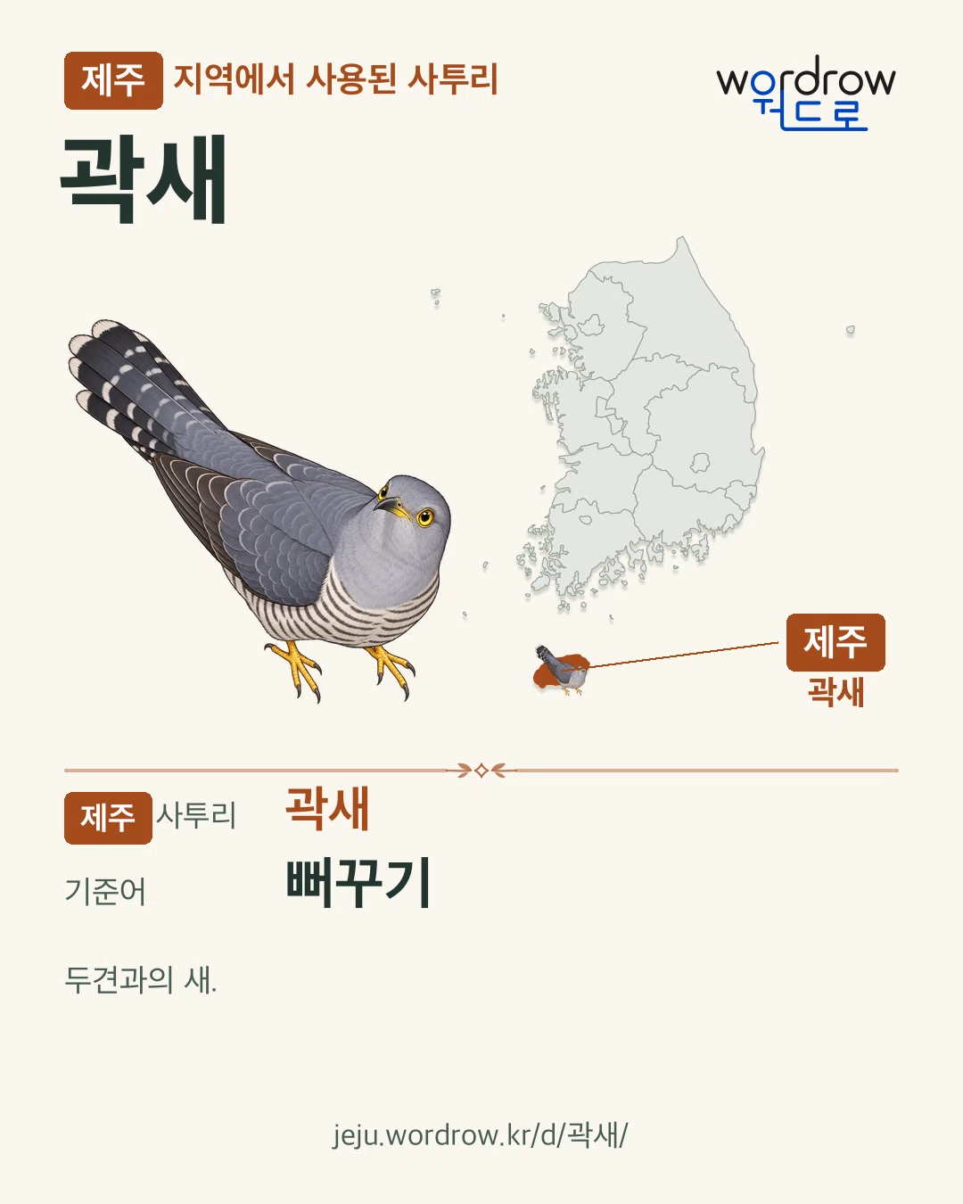 제주 지역에서 사용된 사투리 ‘곽새’. 기준어: 뻐꾸기. 기록 지역을 표시한 카툰 삽화와 지도 카드.