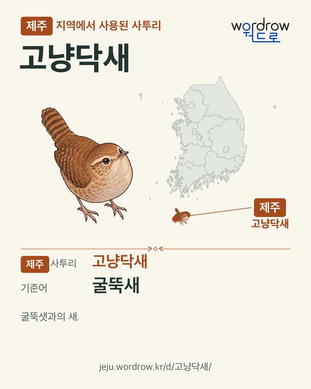 제주 지역에서 사용된 사투리 ‘고냥닥새’. 기준어: 굴뚝새. 기록 지역을 표시한 카툰 삽화와 지도 카드.