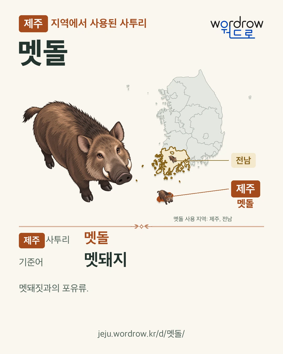 제주 지역에서 사용된 사투리 ‘멧돌’. 기준어: 멧돼지. 기록 지역을 표시한 카툰 삽화와 지도 카드.