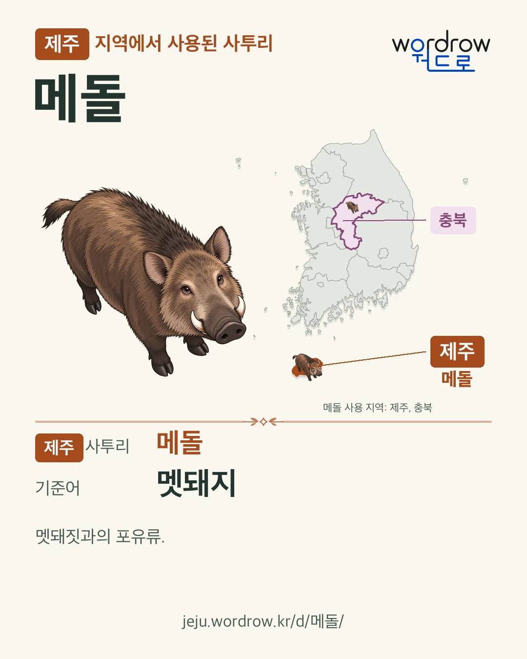 제주 지역에서 사용된 사투리 ‘메돌’. 기준어: 멧돼지. 기록 지역을 표시한 카툰 삽화와 지도 카드.