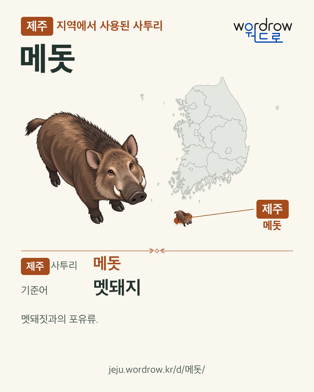 제주 지역에서 사용된 사투리 ‘메돗’. 기준어: 멧돼지. 기록 지역을 표시한 카툰 삽화와 지도 카드.