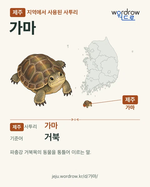 제주 지역에서 사용된 사투리 ‘가마’. 기준어: 거북. 기록 지역을 표시한 카툰 삽화와 지도 카드.