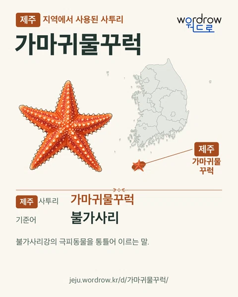 제주 지역에서 사용된 사투리 ‘가마귀물꾸럭’. 기준어: 불가사리. 기록 지역을 표시한 카툰 삽화와 지도 카드.