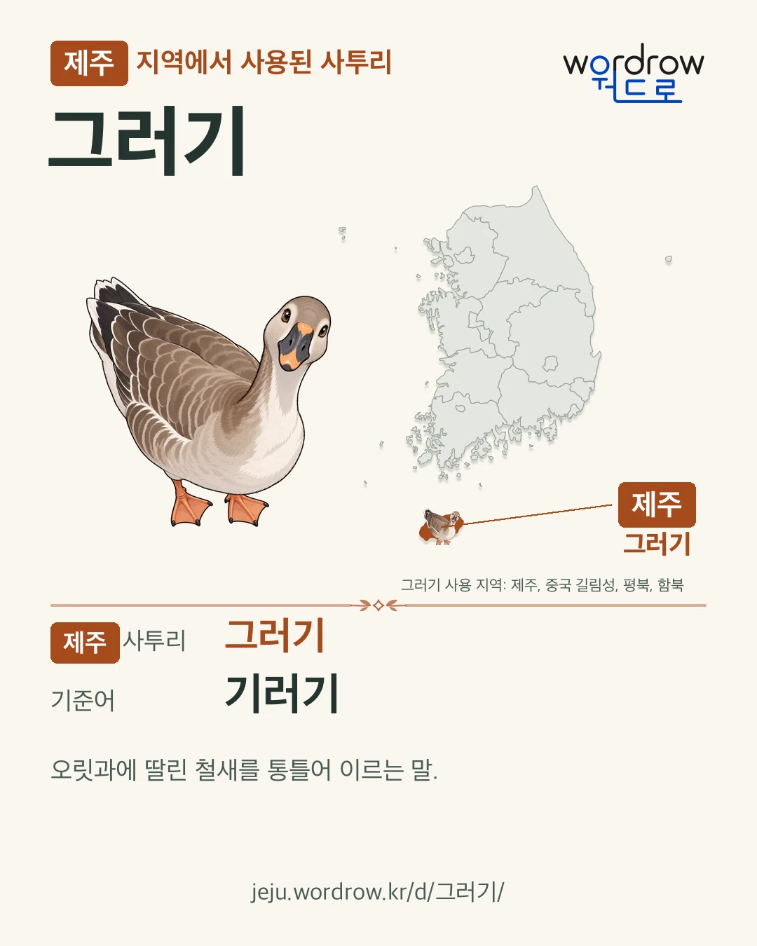 제주 지역에서 사용된 사투리 ‘그러기’. 기준어: 기러기. 기록 지역을 표시한 카툰 삽화와 지도 카드.