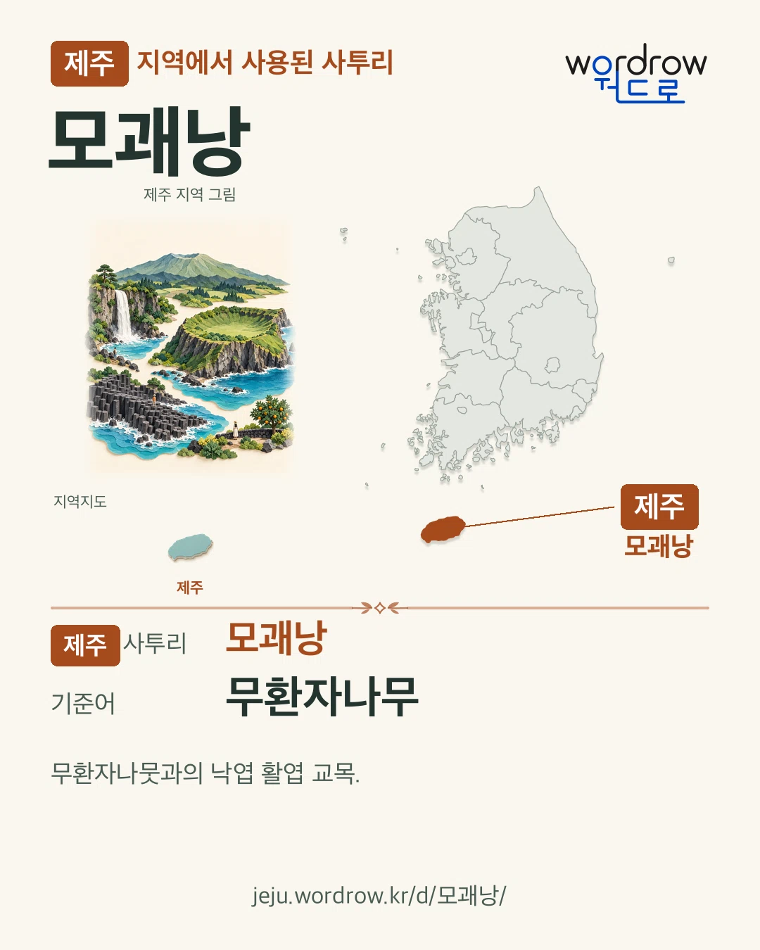 제주 지역에서 사용된 사투리 ‘모괘낭’. 기준어: 무환자나무. 기록 지역을 표시한 지역 그림과 지도 카드.