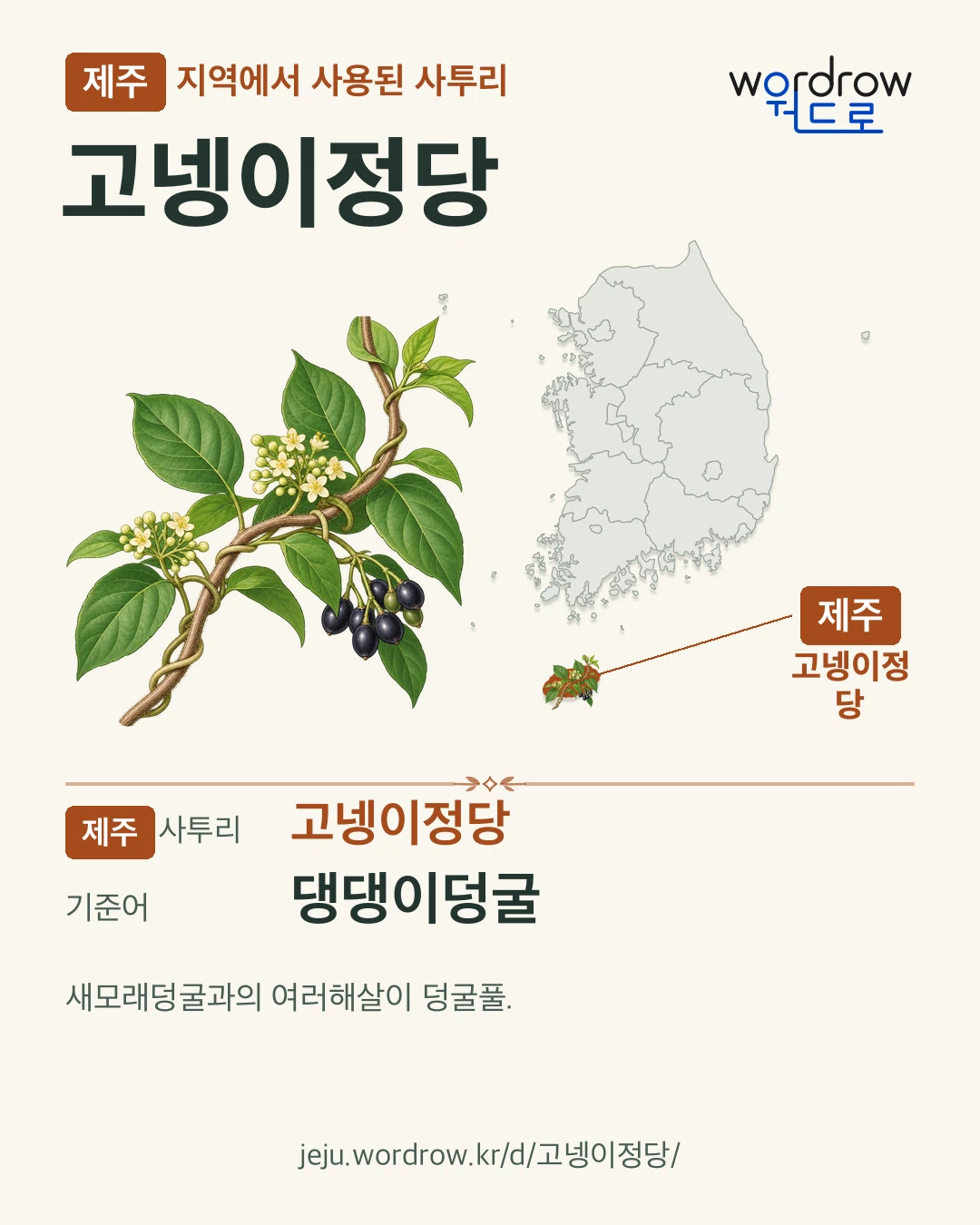 제주 지역에서 사용된 사투리 ‘고넹이정당’. 기준어: 댕댕이덩굴. 기록 지역을 표시한 카툰 삽화와 지도 카드.