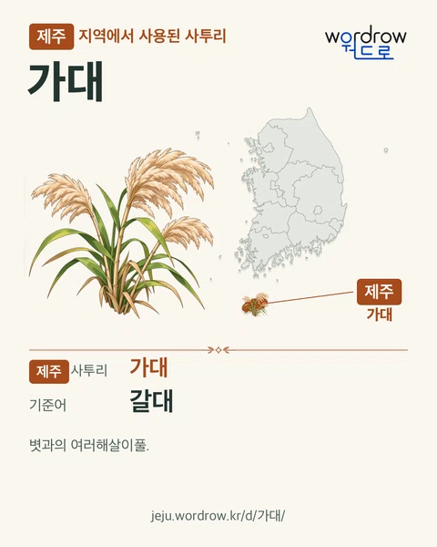 제주 지역에서 사용된 사투리 ‘가대’. 기준어: 갈대. 기록 지역을 표시한 카툰 삽화와 지도 카드.