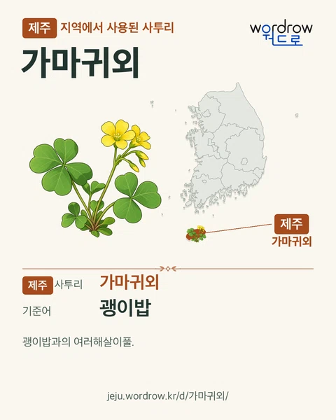 제주 지역에서 사용된 사투리 ‘가마귀외’. 기준어: 괭이밥. 기록 지역을 표시한 카툰 삽화와 지도 카드.