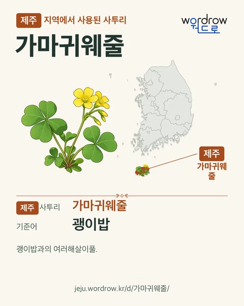 제주 지역에서 사용된 사투리 ‘가마귀웨줄’. 기준어: 괭이밥. 기록 지역을 표시한 카툰 삽화와 지도 카드.