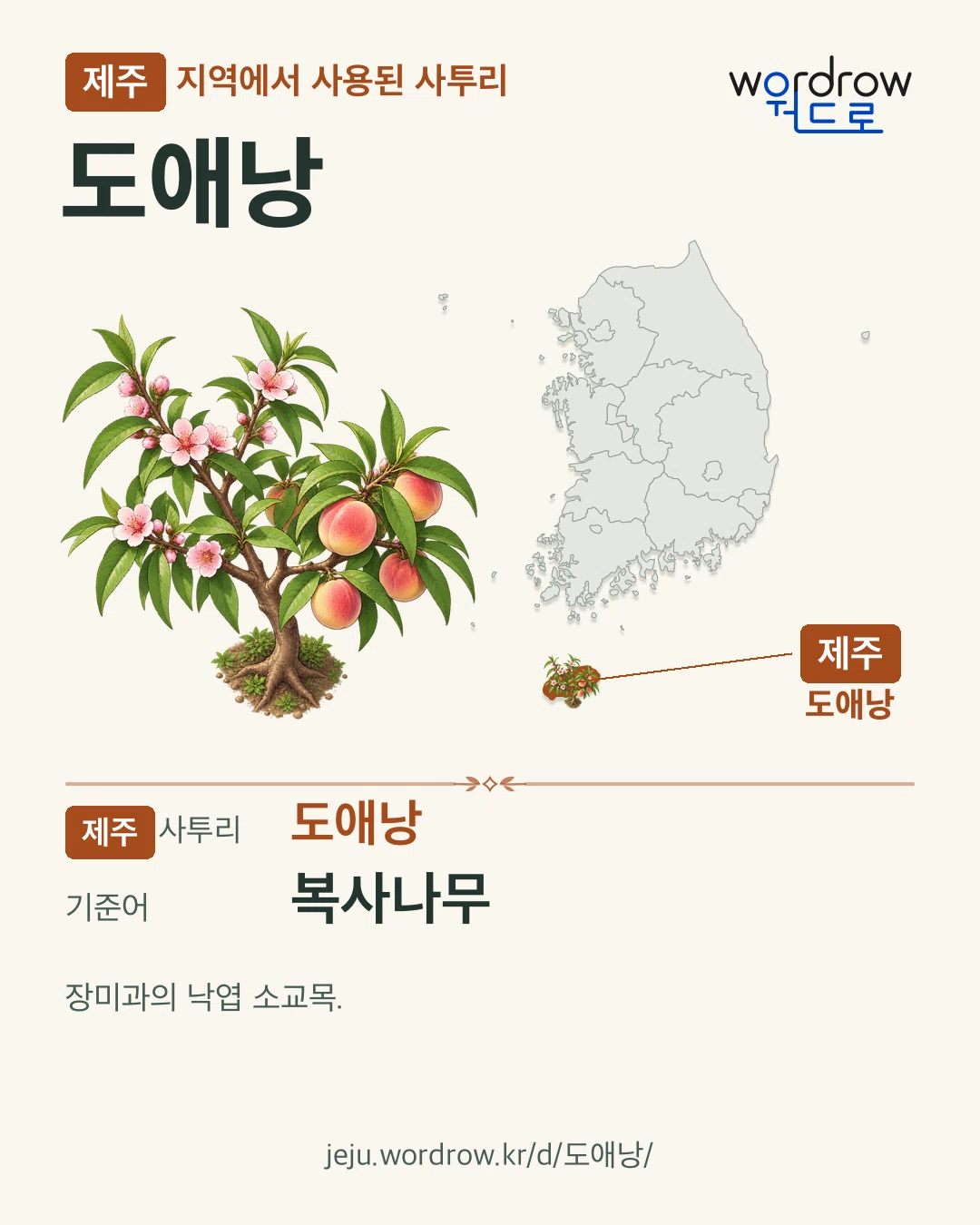 제주 지역에서 사용된 사투리 ‘도애낭’. 기준어: 복사나무. 기록 지역을 표시한 카툰 삽화와 지도 카드.