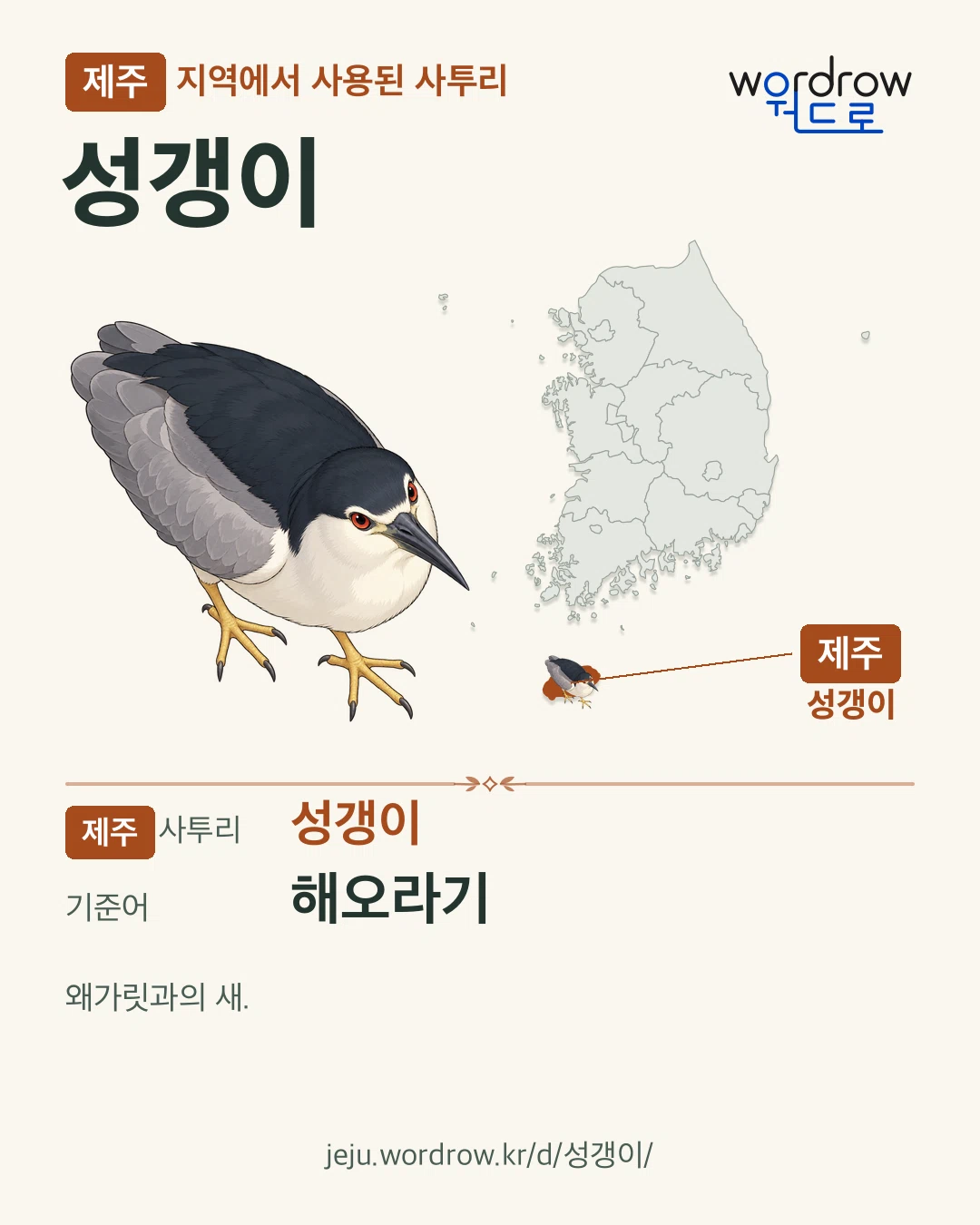 제주 지역에서 사용된 사투리 ‘성갱이’. 기준어: 해오라기. 기록 지역을 표시한 카툰 삽화와 지도 카드.