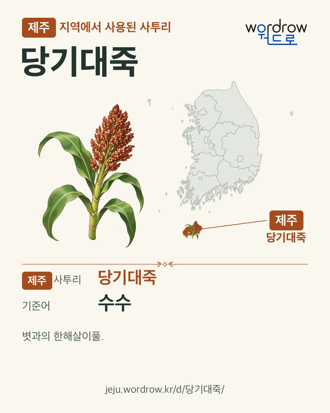 제주 지역에서 사용된 사투리 ‘당기대죽’. 기준어: 수수. 기록 지역을 표시한 카툰 삽화와 지도 카드.
